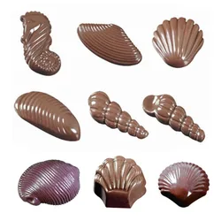 3D Shell Shape Polycarbonate Chocolate Mold Sweet Candy Pudding Jelly Mould  Diy Baking Confectionery Tools