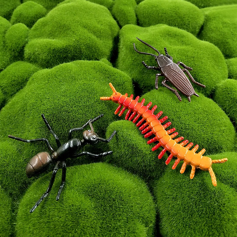 12 قطعة نماذج للحيوانات الحشرات اليعسوب العنكبوت النمل السرعوف يطير لتقوم بها بنفسك تمثال ديكور المنزل مصغرة الجنية حديقة الديكور اكسسوارات