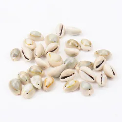 Spiral Shell SeaShells Conch for DIY handmade Home decoration jewelry making 10-25mm 20pcs