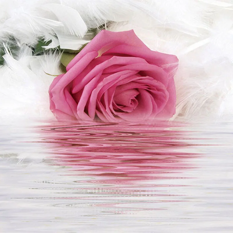 Romantic Rose Feather Reflection On Water Photo Wallpaper Modern Art Interior Design Decor Murals 3D Beautiful Flower Wallpapers