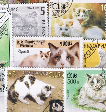 New 50Pcs/Lot Cat All Different From Many Countries NO Repeat  Postage Stamps for Collecting