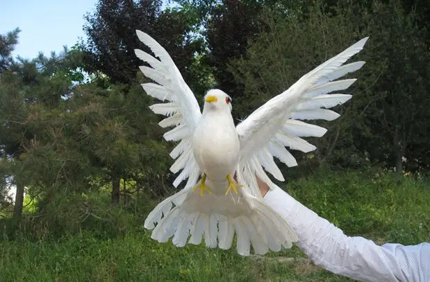 about 30x45cm white feathers peace bird dove model handicraft,home garden decoration gift a2547