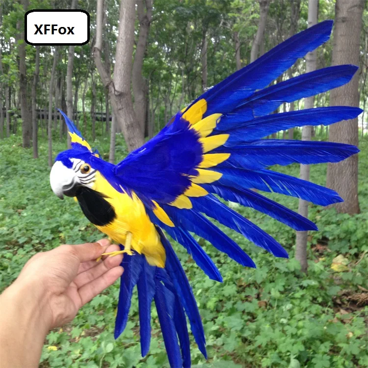 

new real life dark blue&yellow parrot model foam&feather simulation wings parrot bird gift about 30x50cm xf0966