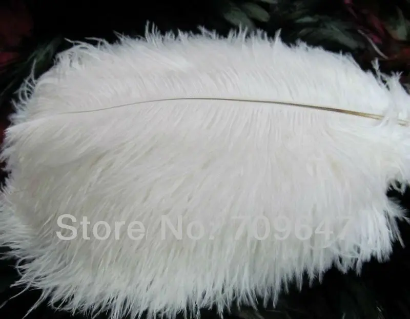 Wedding Decoration! BEAUTIFUL Wedding White Feathers ,50PCS/lot WHITE OSTRICH FEATHERS 25-30cm 10-12Inches Long