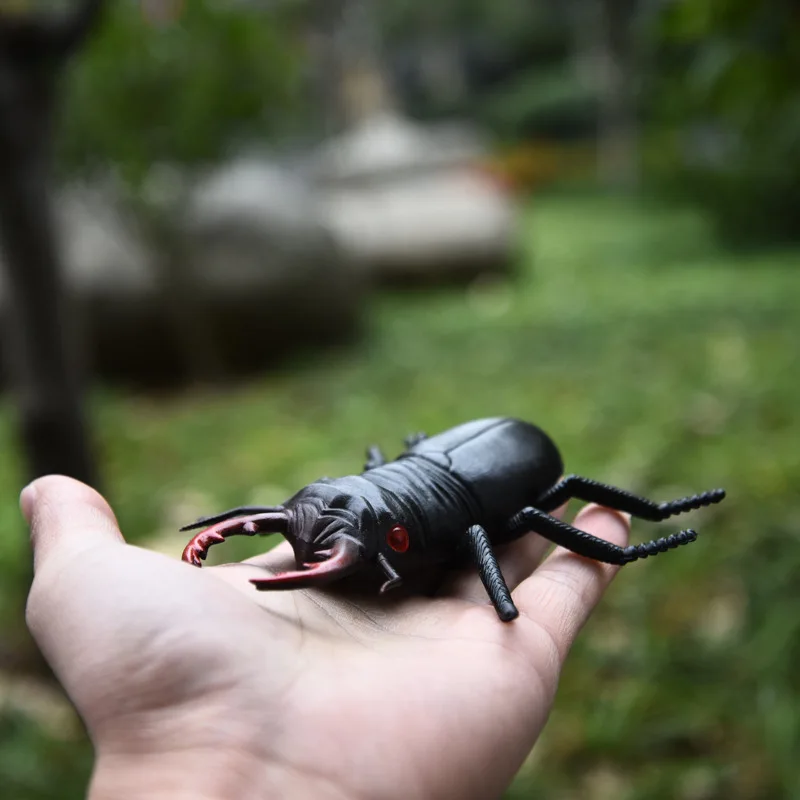 Ensemble de 16 pièces, modèle d'insecte simulé, jouet en caoutchouc, animaux de la faune, mante Beatle, figurine d'araignée