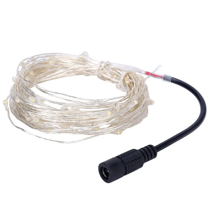 33Ft Warm White Copper Wire LED Starry Lights, 12 V DC LED String Light, Includes Power Adapter, with 100 Individual Leds