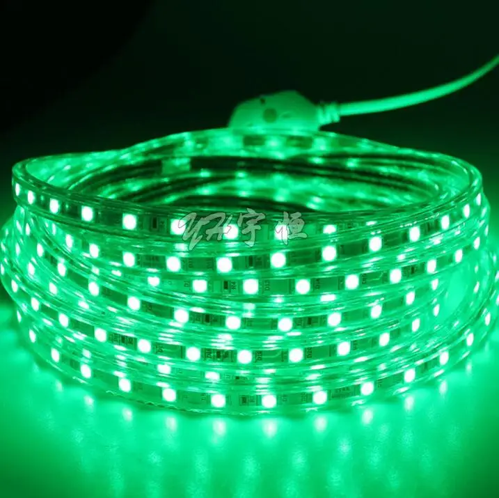 Waterproof 220V LED Strip with EU plug 5050 SMD 60leds/m LED light Garden Outdoor home String light With Plug