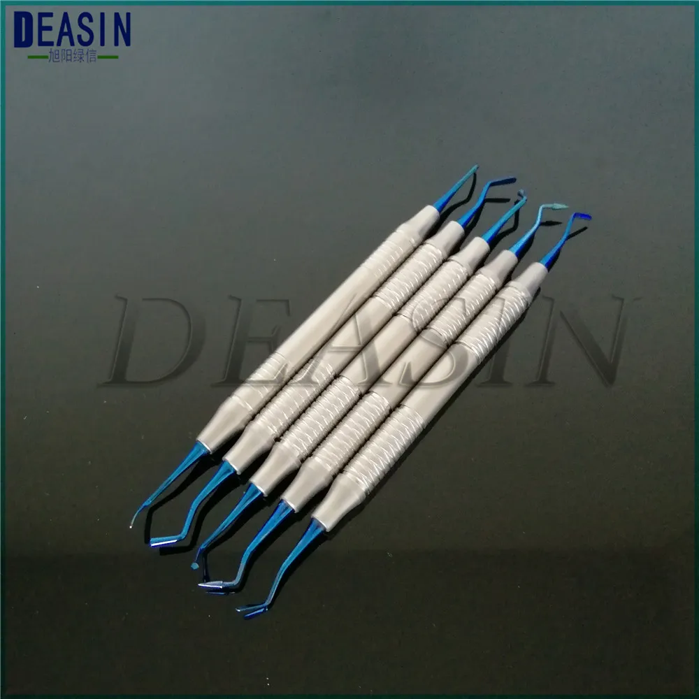 Dental Tool Stainless Steel Dentist Teeth Clean Hygiene Picks Scaler Oral Care Luxating Root Elevator with Case Instruments Tool