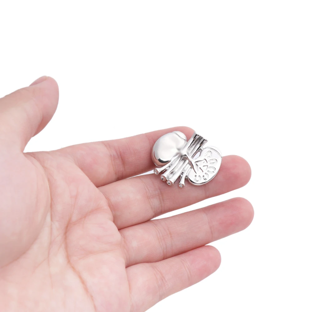 تشريح الكلى دبوس الطبية هدية الطبيب Vintage دبابيس الذهب اللون المعادن العصرية مجوهرات جميلة دبابيس النساء الملحقات