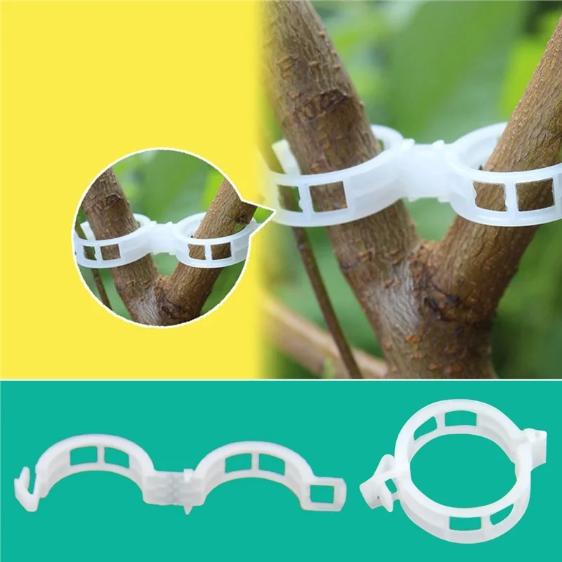 

50/100Pcs Plastic Plant Support Clips Vine Tomato Stem Vegetable Fixing Clip Garden Greenhouse Accessories 30mm Plant Clips