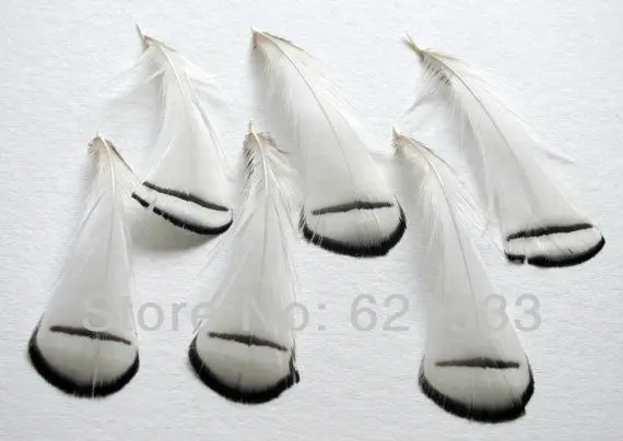 100Pcs/Lot 5-8cm long Loose BLACK&WHITE Lady Amherst Pheasant Tippet Feathers,Lady Amherst Plumage Feathers