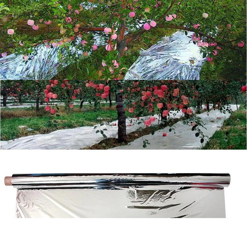 Agricultural Double Sides Reflective Mylar PET Film, Greenhouses, Fruit Trees, Apple Grapes, Increasing Temperature Light