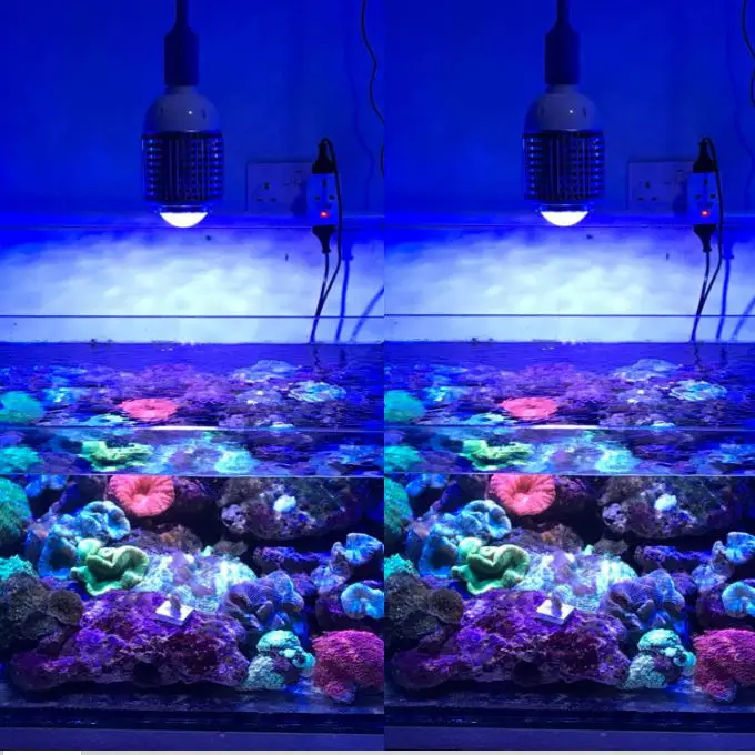 High Power 30W CREE LED Reef light Aquarium Lamp Grow bulb for Marine Coral Reef Alage SPS LPS Aquatic Fish growth