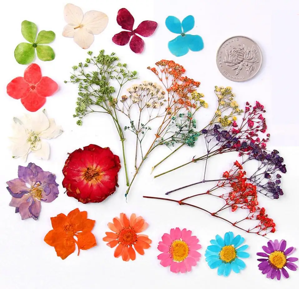 

100pcs Mixed Pressed Press Dried Flower Filler For Epoxy Resin Pendant Necklace Jewelry Making Craft DIY Accessories