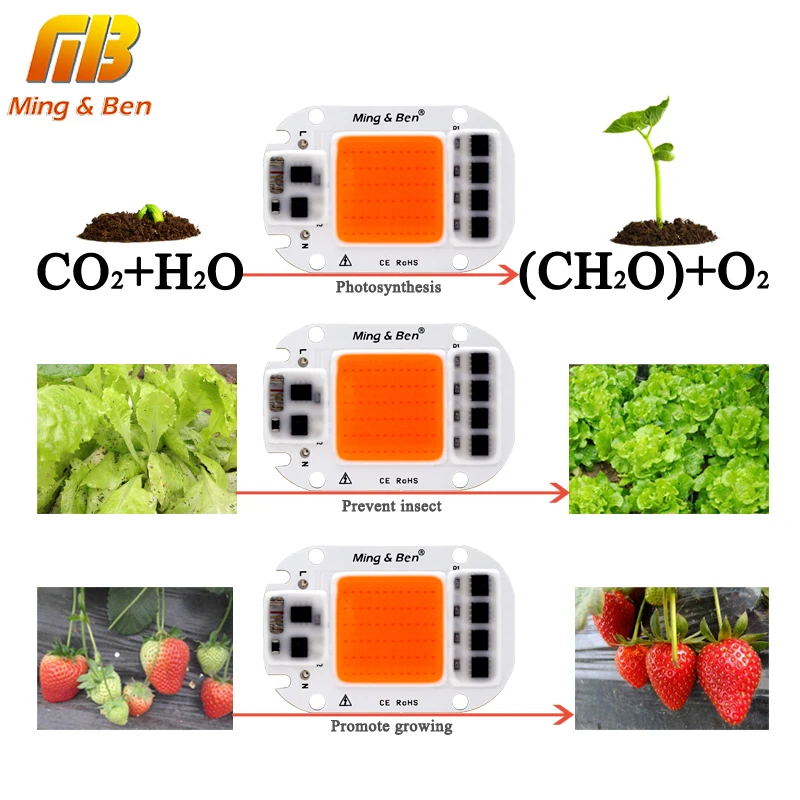 MINGBEN LED Grow Plant Light Chip Full Spectrum 220V 110V 20W 30W 50W for Indoor Plant Seedling Grow and Flower Growth Lighting