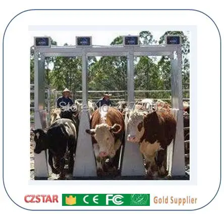 Imagem -06 - Leitor de Rfid Czstar-uhf para Identificação Animal de Longo Alcance Alienígena Passivo Epc a 5m a 5m 100 Peças