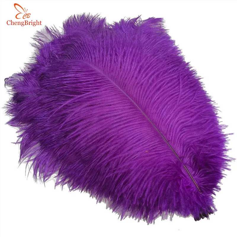 ChengBright 10Pcs/Lot Purple Natural Ostrich Feathers For Crafts 15-75CM Carnival Costumes Party Home Wedding Decorations Plumes