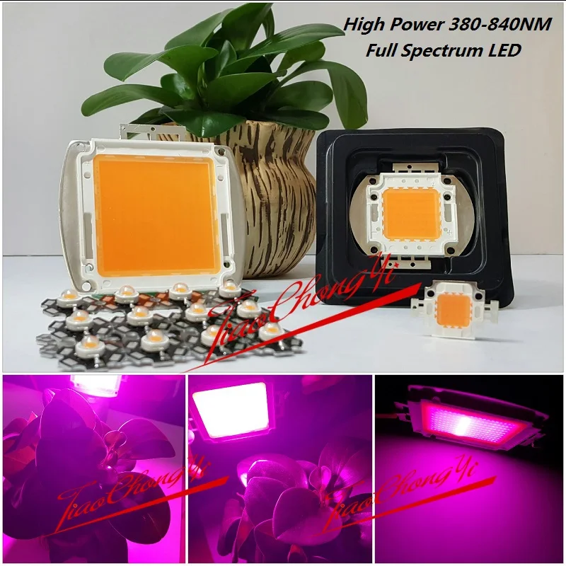 

Hot 3W 10W 20W 30W 50W 100W 150W 200W 380-840NM led grow chip,full spectrum led grow lights for hydroponics New