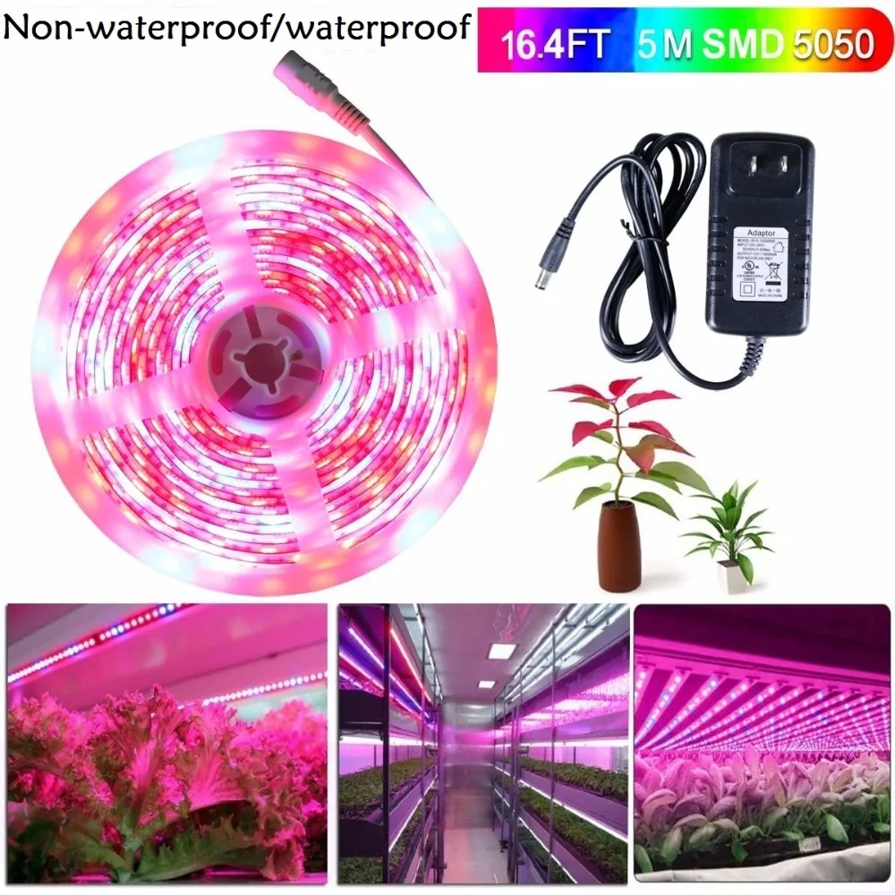 

5m LED Grow Lights DC12V Growing LED Strip Plant Growth Tape Fita De Led Light Set with Adapter