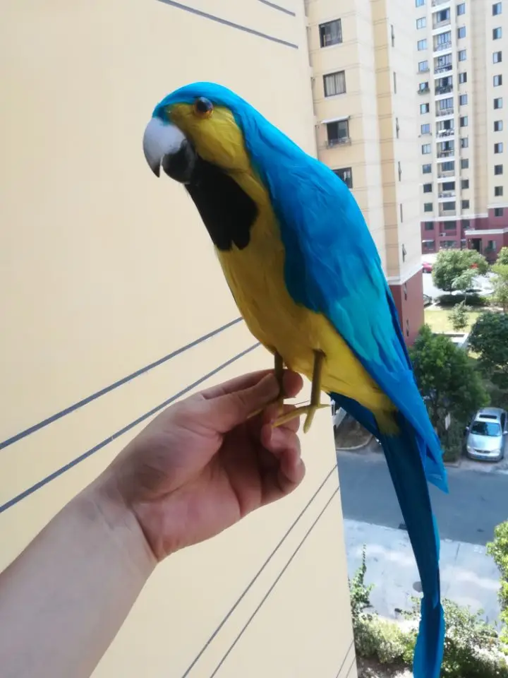 large 42cm simulation bird parrot ,foam & blue feathers parrot model ,prop,pendant Decoration gift w0224