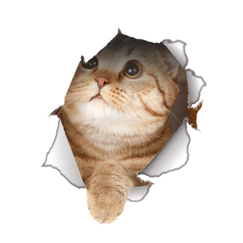 Leuke katten muursticker Hole View Levendige honden badkamer 3D toiletstickers voor huisdecoratie dieren stickers zelfklevende poster