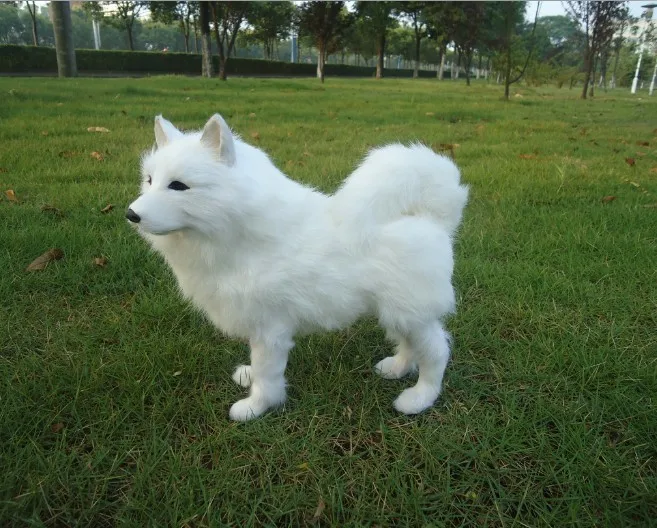 

plastic& furs toy simulation white samoyed Dog model about 24x8x20cm samoyed dog handicraft home decoration toy Xmas gift w5733