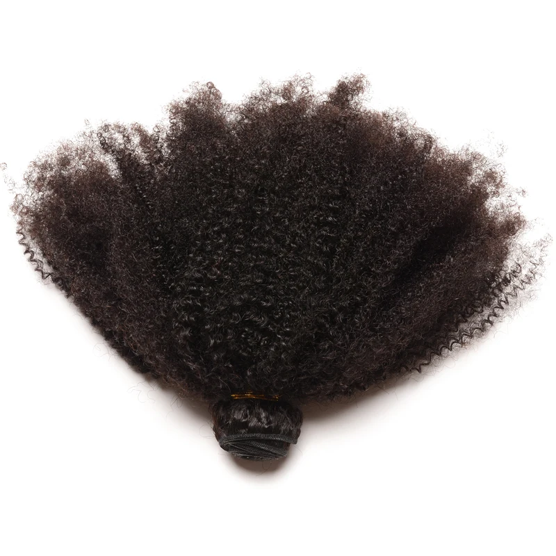 Afro Kinky Curly Hair With Frontal Closure 3 Human Hair Bundles With Lace Frontal Brazilian Remy Hair Weave Extensions CARA