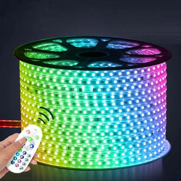 220V LED Strip 5050 50m 100m IP67 Waterproof RGB Dual Color Rope lighting for outdoor with RF Remote controller by DHL