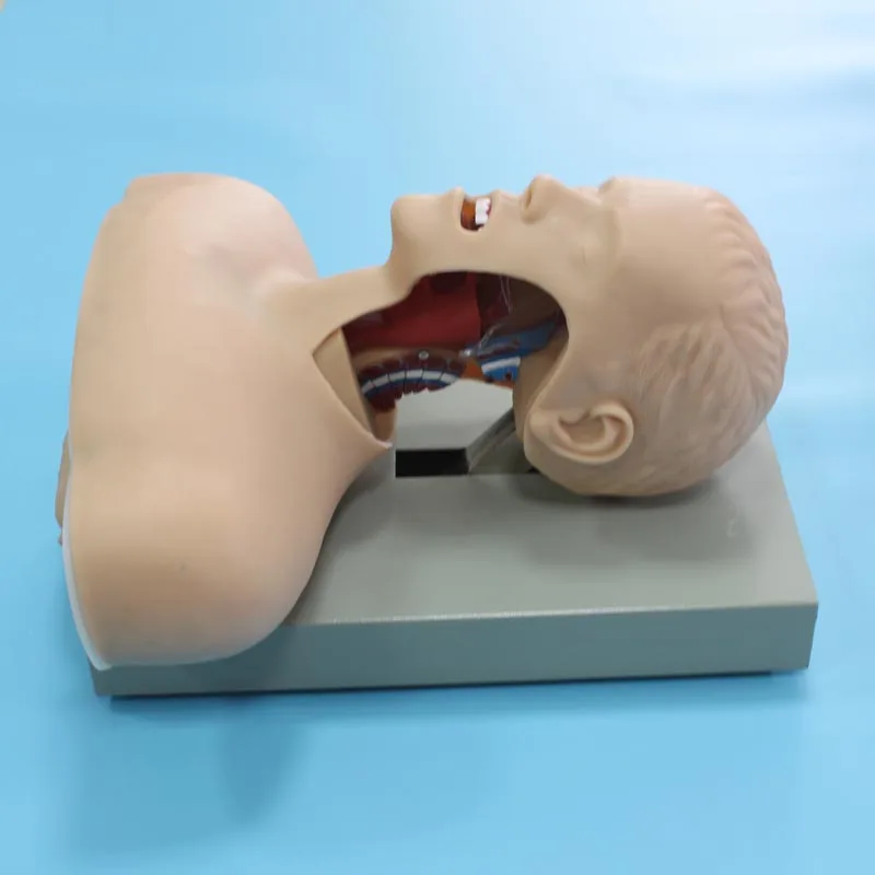 

BIX-J51 Electronic Airway Intubation Model(with Alarm Device) W010