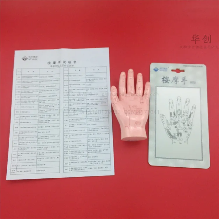 HD Human Acupuncture Palm hard Model Hand Medical teach Meridian Acupoint Model 15CM Traditional Chinese Medical Teaching Model