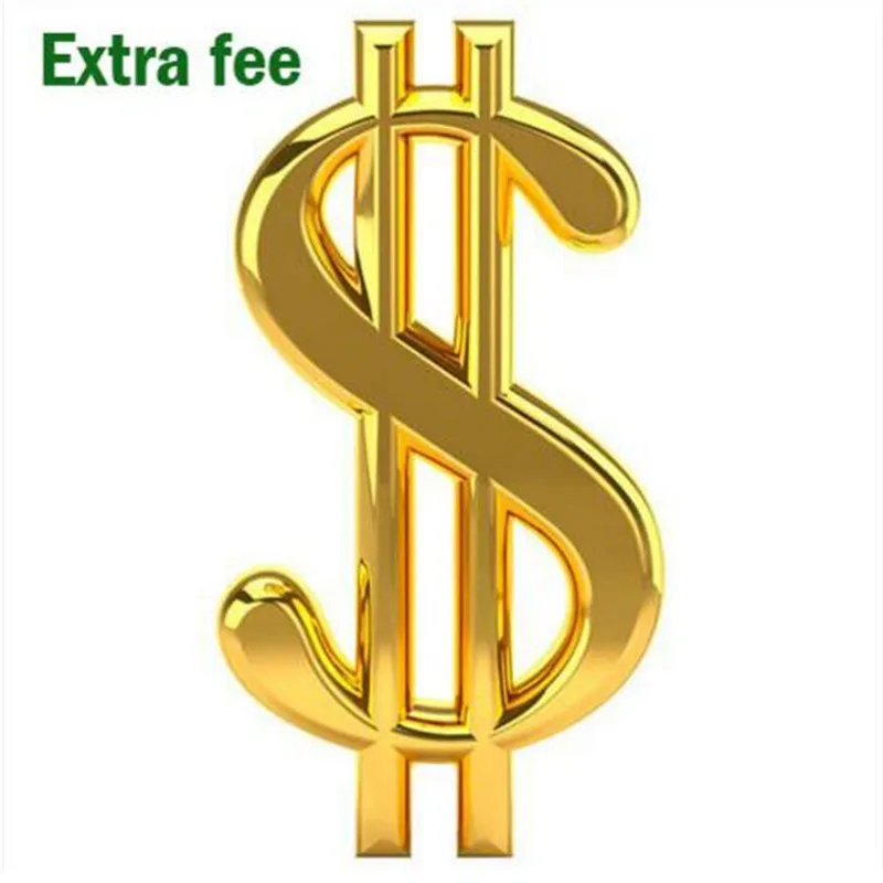 Payment For Extra Fee