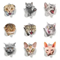 Cat Wall Sticker Toilet Seat Decal Washrom Remind refrigerator Decoration Animal Decals Art Sticker Wall Poster