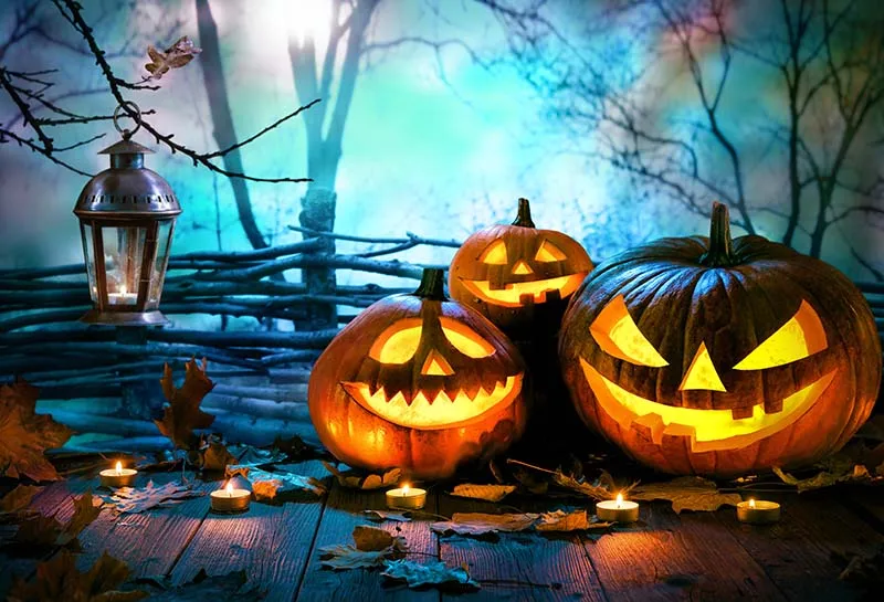 Halloween Photography Backdrops Pumpkin Light Wooden Floor Fallen Leaves Backgrounds for Photo Studio Vinyl Cloth Customized 3D