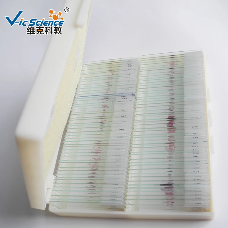 200pcs Different Items Human Pathology Prepared Slides Set