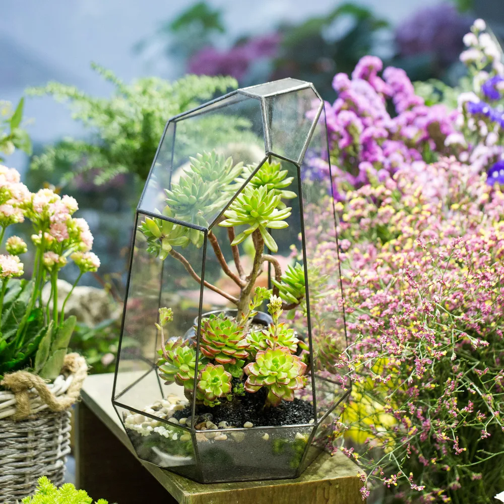 Imagem -02 - Ncyp Irregular Vaso de Flores de Vidro para Suculentas Vidro Geométrico Terrário Faça Você Mesmo Samambaias Musgo Bonsai em Miniatura Decoração da Sua Casa