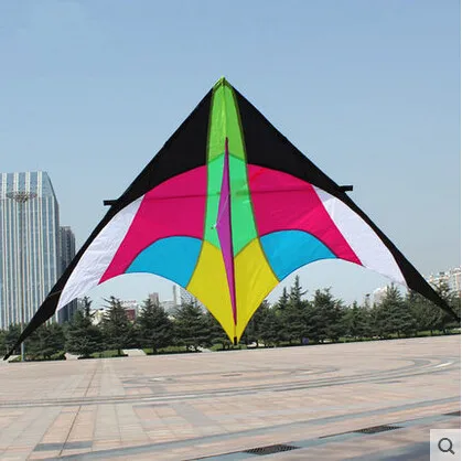 Outdoor Fun Sports NEW 2.8m High Quality Power Delta  Kite /Huge kites  With Handle And Line Good Flying