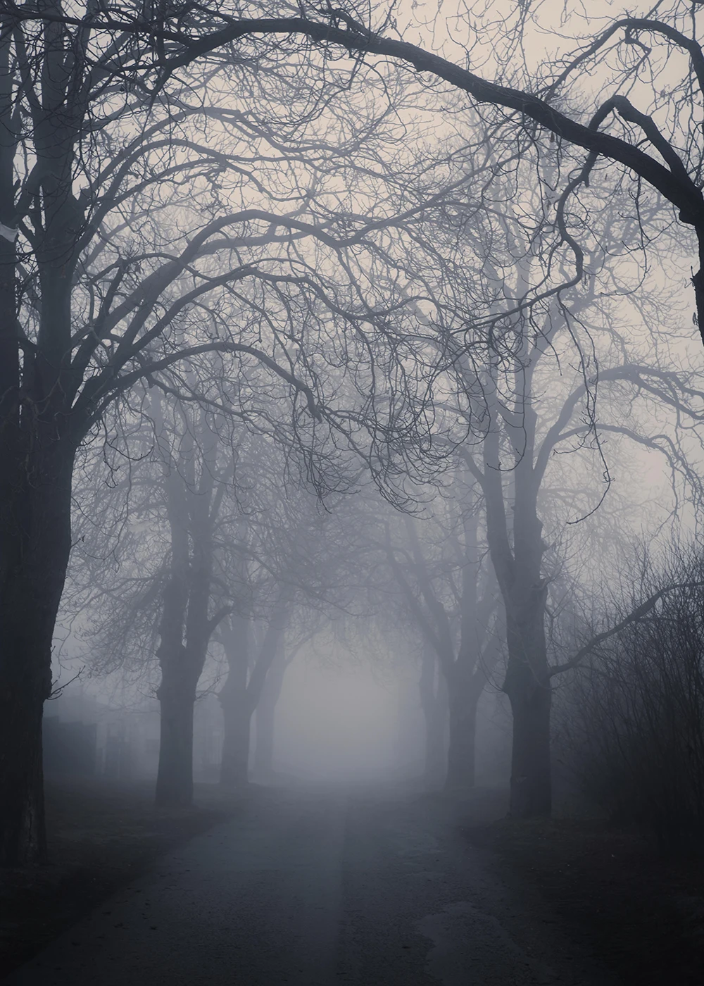 Capisco Halloween theme photography  background country road night Foggy tree dark fantasy backdrop outdoor photophone