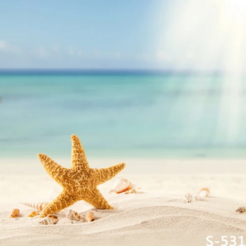 VinylBDS Sea Beach Backdrops Photography Backgrounds Children Star Fondos Fotografia Holiday Photo Backdrops For Photography