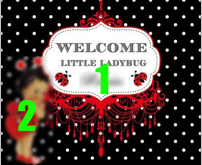 Custom Miraculous Ladybug Baby Shower Blue Polka background polyester or Vinyl cloth Computer print birthday backdrop