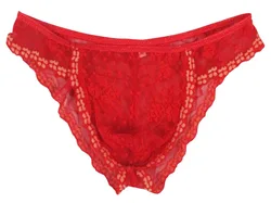 Fashion sexy panties lace mens pouch bikini low-waist briefs c-thru red