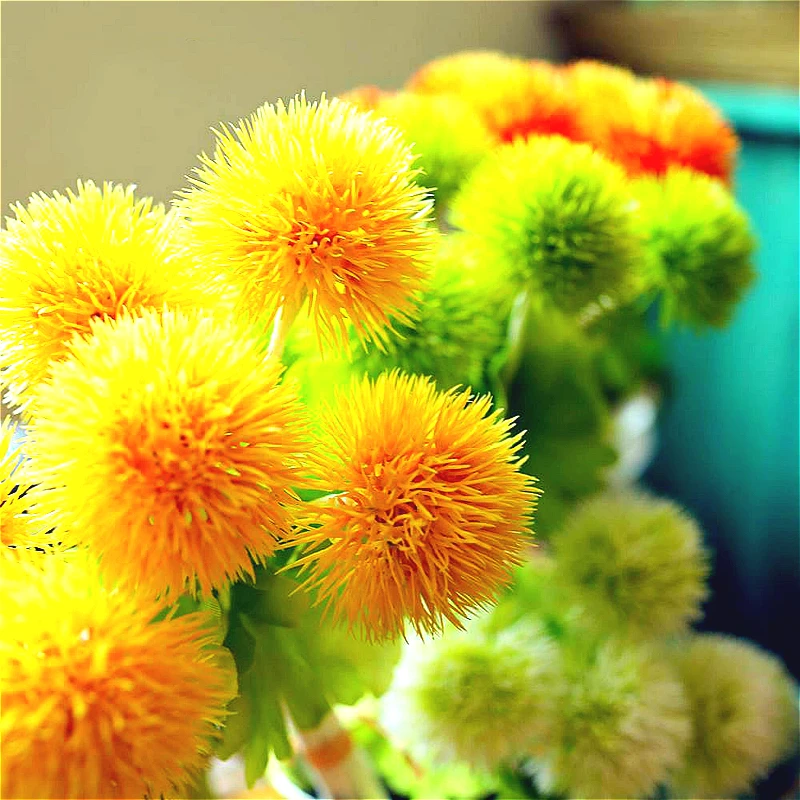 

10pcs Artificial plastic Thorn Ball DIY Flower accessories Handicraft Flower Wall Background for Home Party Holiday Decorations