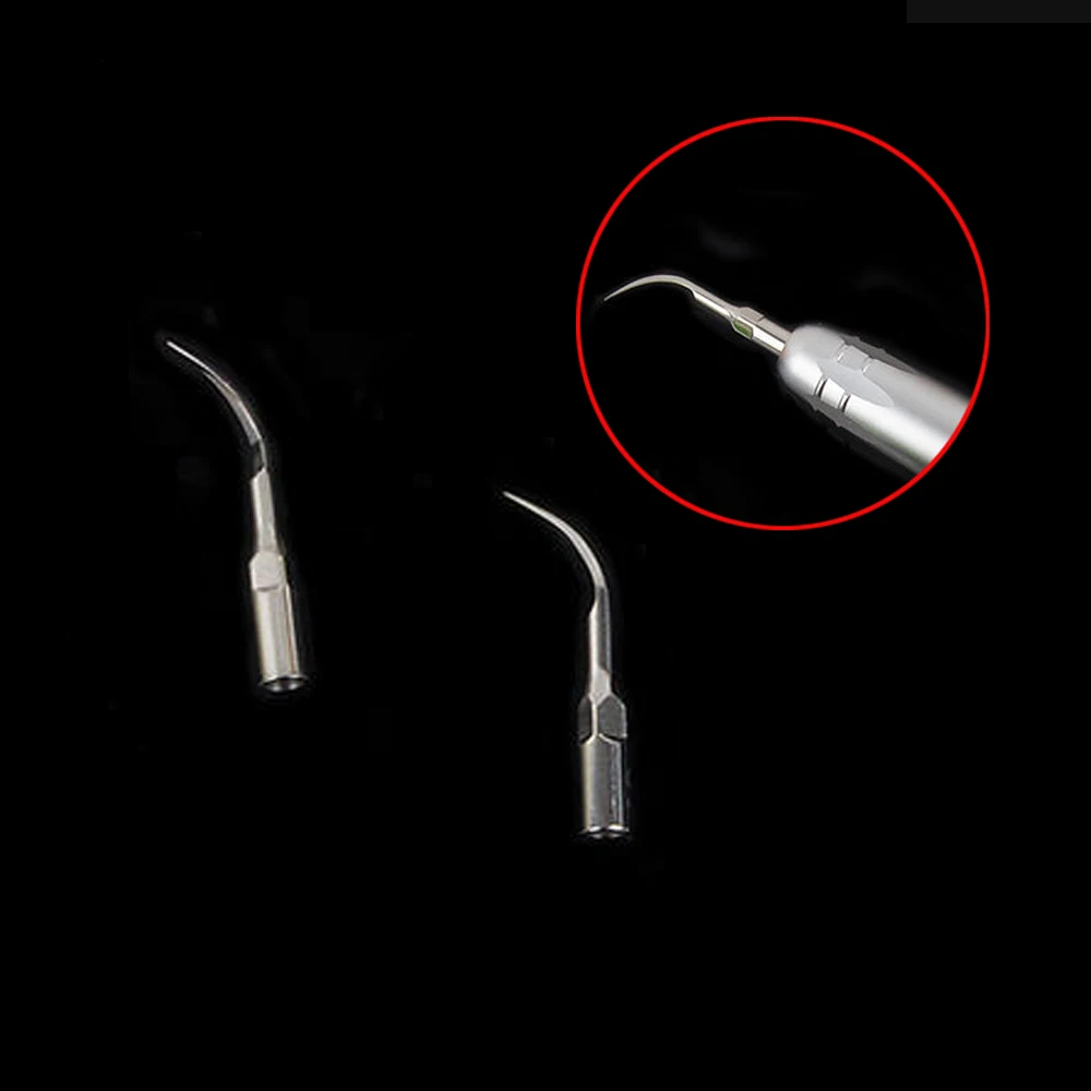 Máquina de odontología desechable, punta de repuesto, hoja de limpieza Dental, herramienta de cuidado de pájaro carpintero, Material de higiene