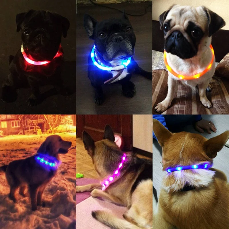 Nylon Pet Dog Collar LED Light Night Safety Warning Illuminated Flashing Glow Cat Dog Collars for dogs Pet Supplies