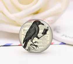 Handmade Round Bird Photo Glass Cabochons, Jewelry Finding Cameo Pendant Settings, (F7455-972487)