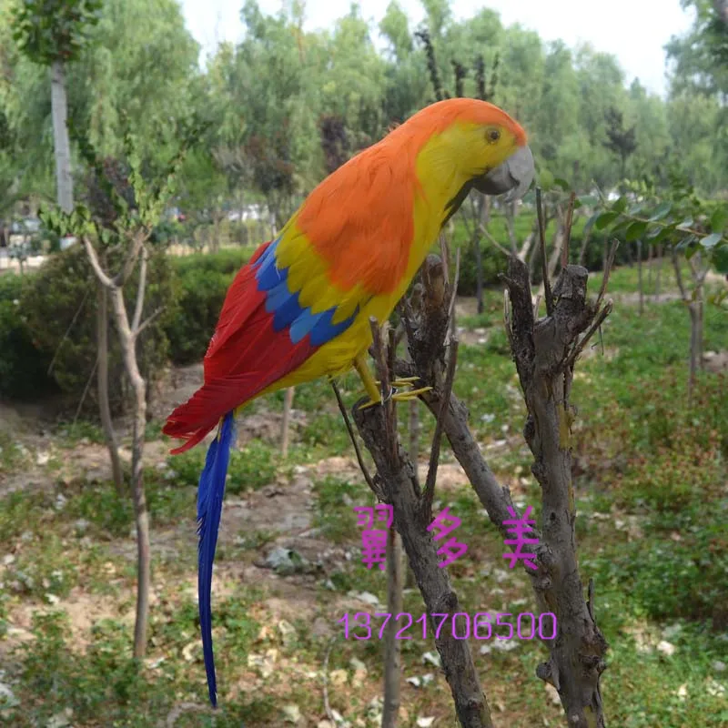 

40cm simulation Bird feathers parrot toy model home garden decoration filming prop h1083