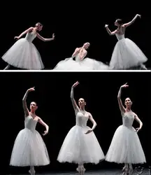 Tutú de Ballet romántico para adulto, falda de práctica de ensayo, disfraz de cisne para mujer, Vestido largo de tul, ropa de Ballet de color blanco, rosa y negro