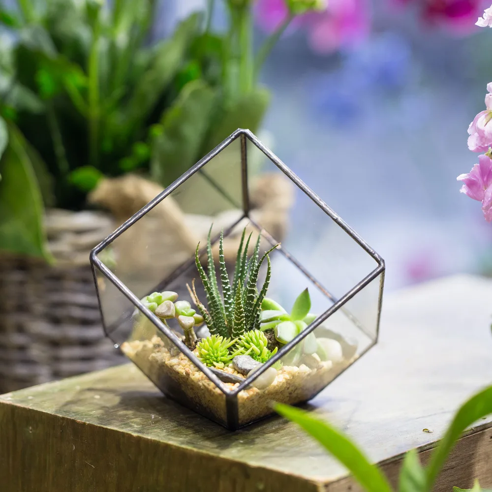 NCYP Glass Flowerpot Handmade Tabletop Succulent Plant Micro Landscape Geometric Terrarium Bonsai Glass Box Balcony Pot