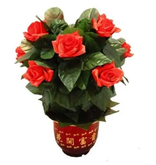 

Blooming Rose Bush - Remote Control (10 Flowers,Battery Version) Magic Tricks Flower Appearing Stage Party Wedding Props Comedy