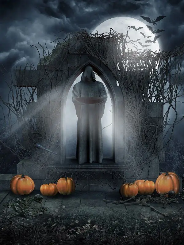 

VinylBDS Halloween Backdrops For Photography Death With Pumpkin Moon Terror Backdrop Backgrounds With Pumpkin WSJ-053