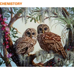 CHENISTORY Frameless Owl Lovers DIY Painting By Numbers Kits Wall Painting Acrylic Paint On Canvas Unique Gift For Home Decors